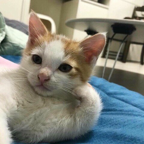 프로필사진