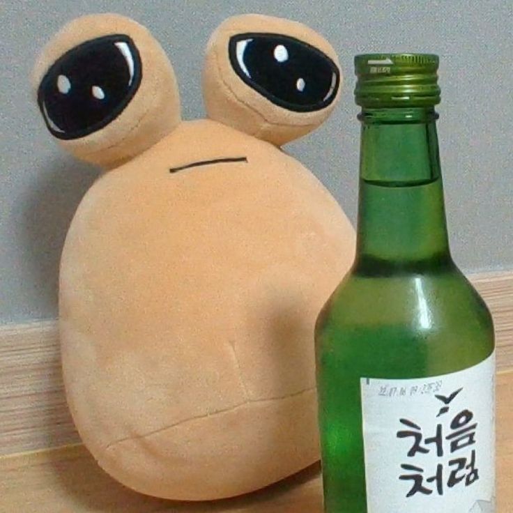 프로필사진