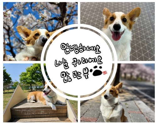 블로그 이미지