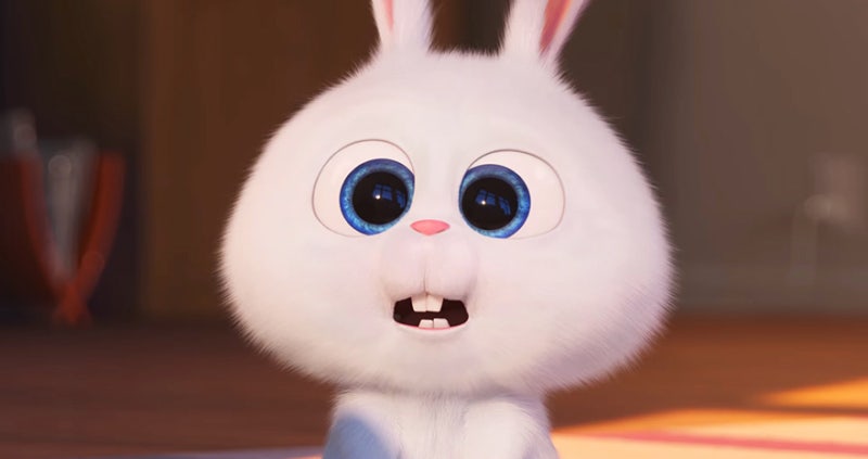 민지렁이다