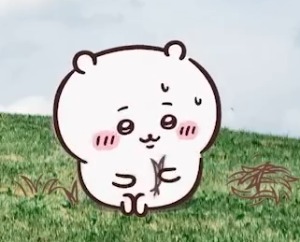 프로필사진