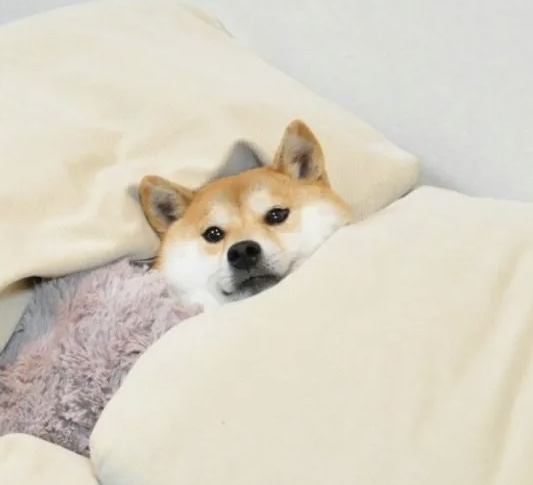 프로필사진