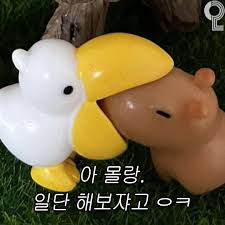 프로필사진