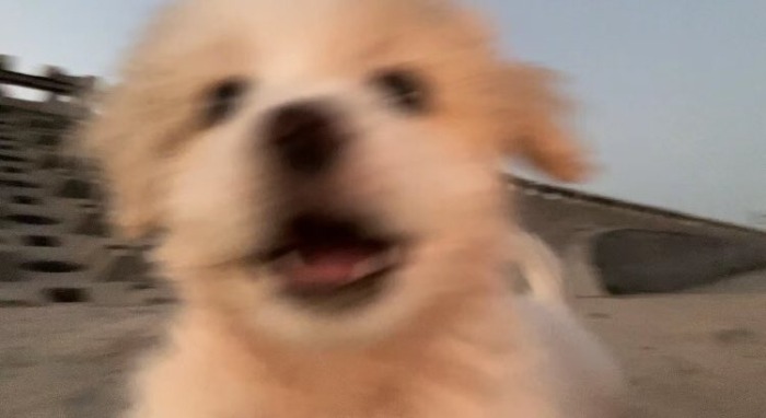 프로필사진