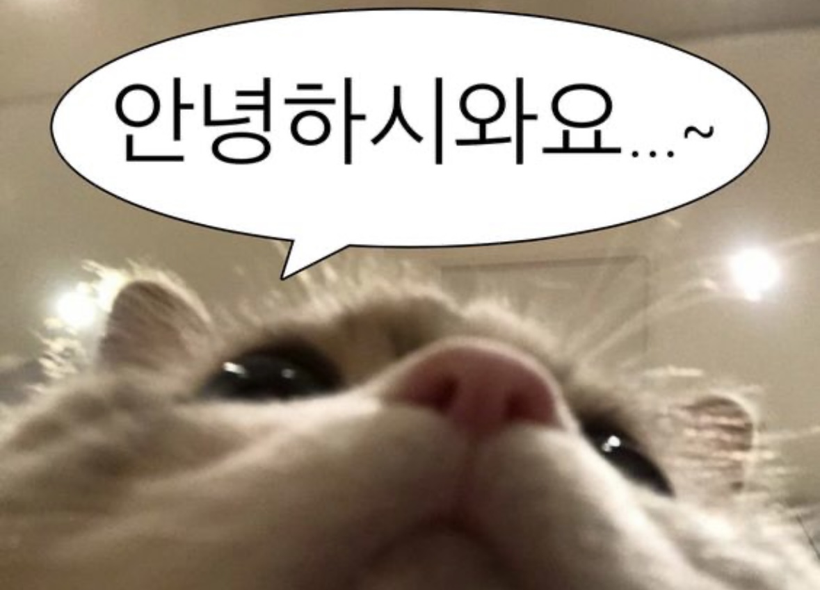 블로그 이미지