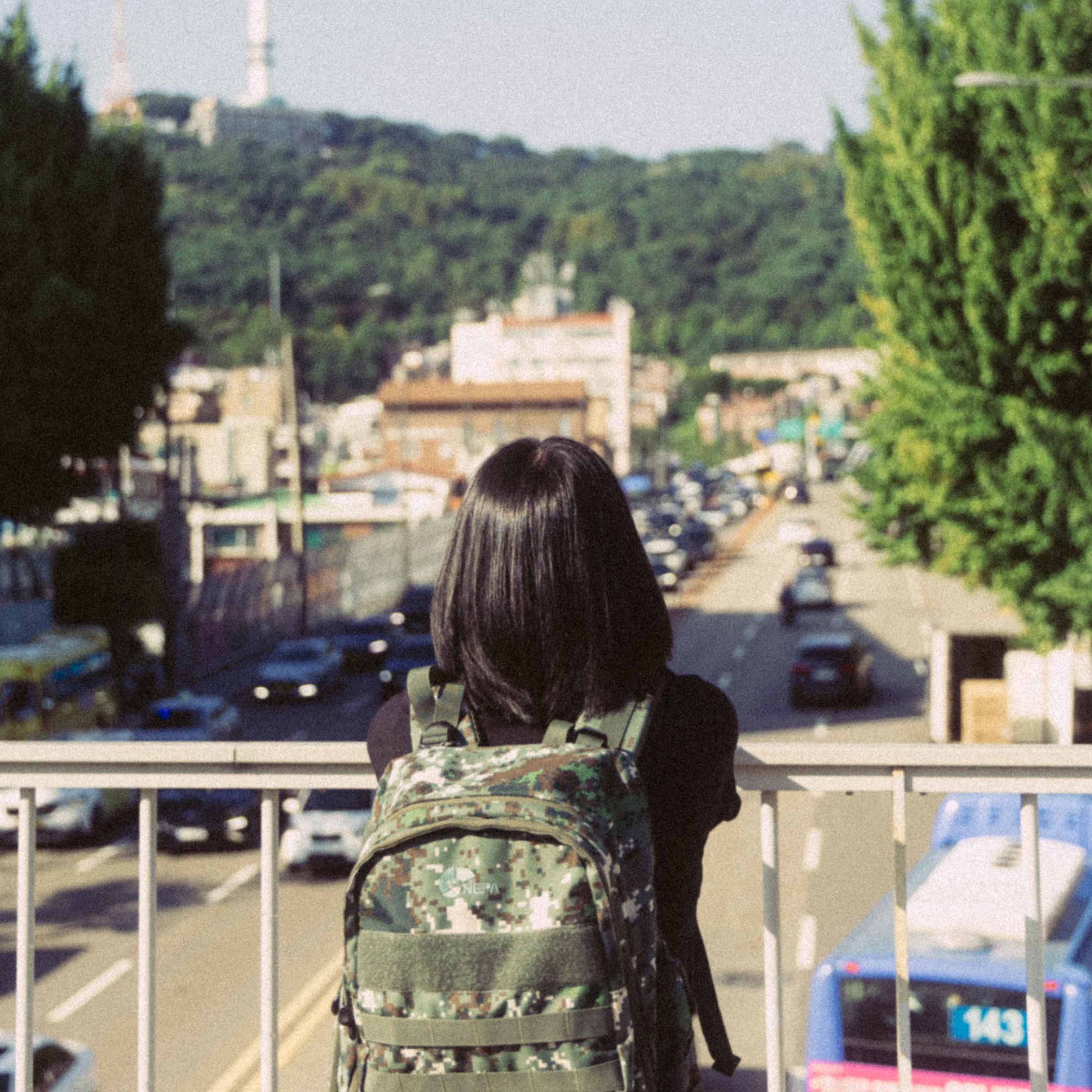 홍삼차