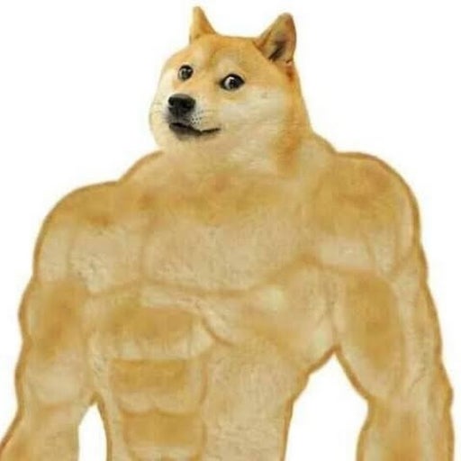 프로필사진