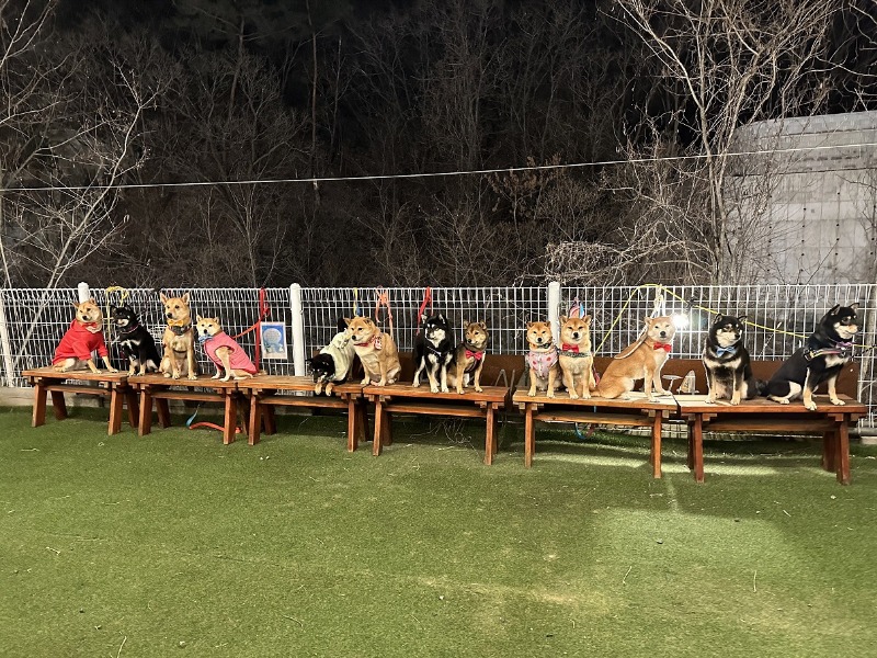 프로필사진