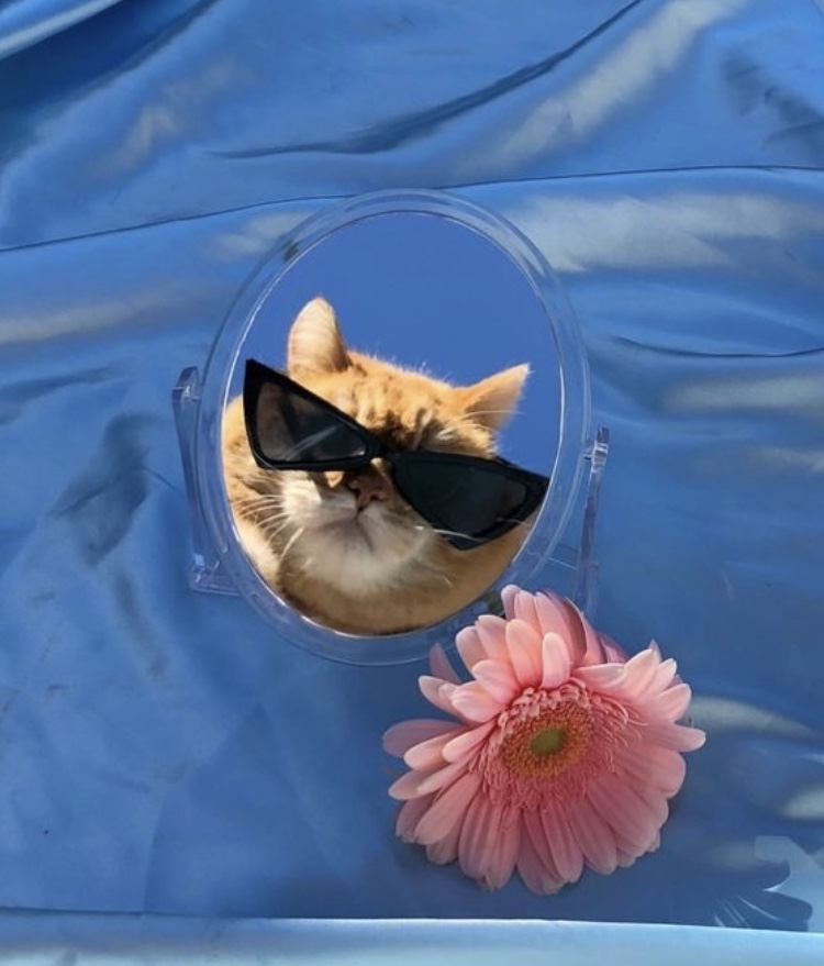 프로필사진