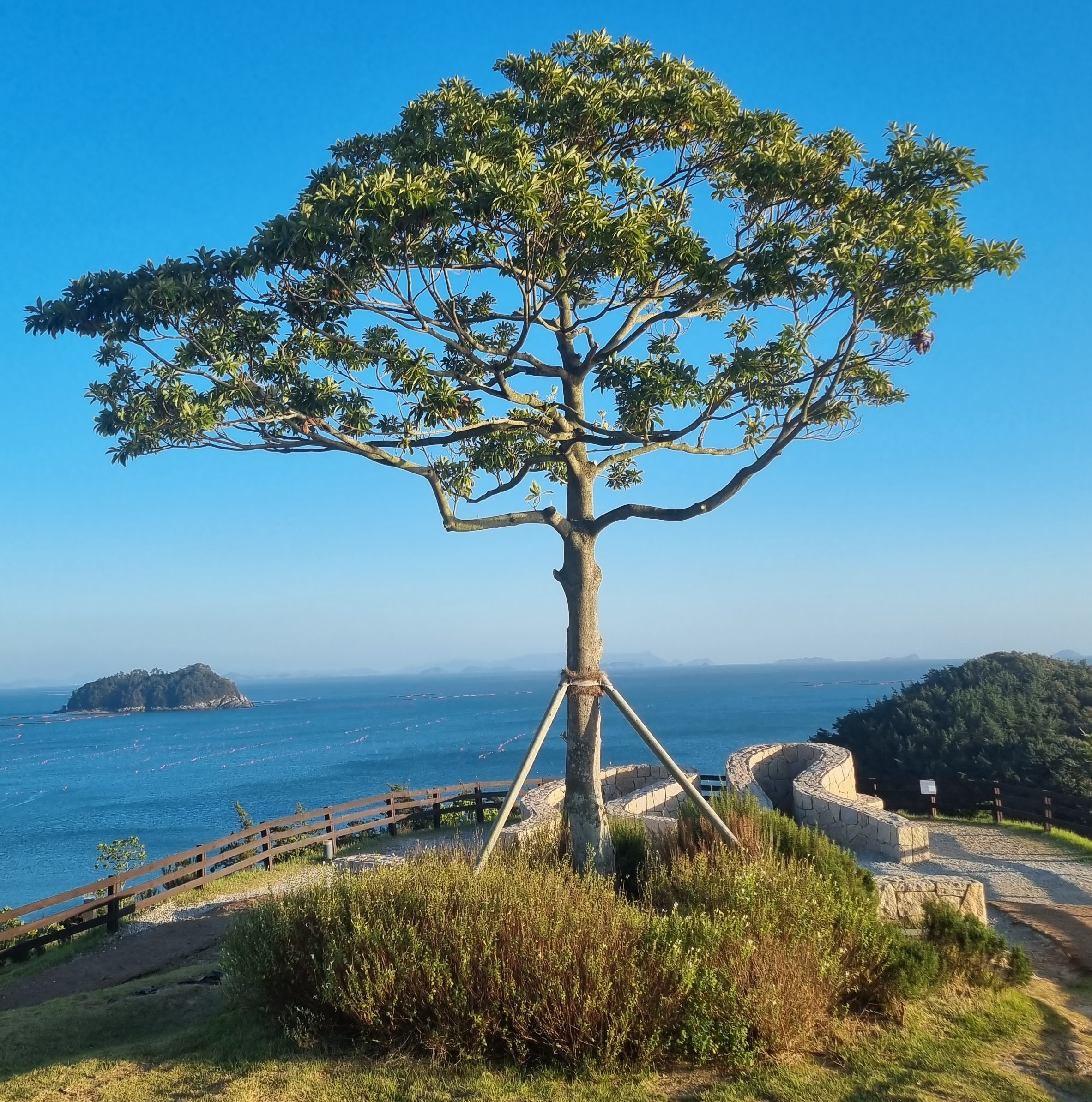 프로필사진