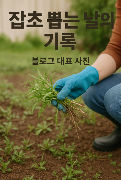블로그 이미지