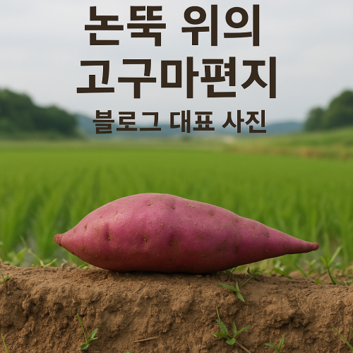블로그 이미지