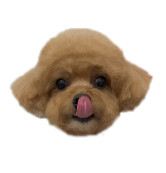 프로필사진