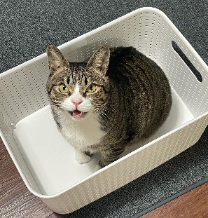 프로필사진