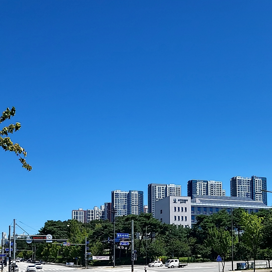 프로필사진