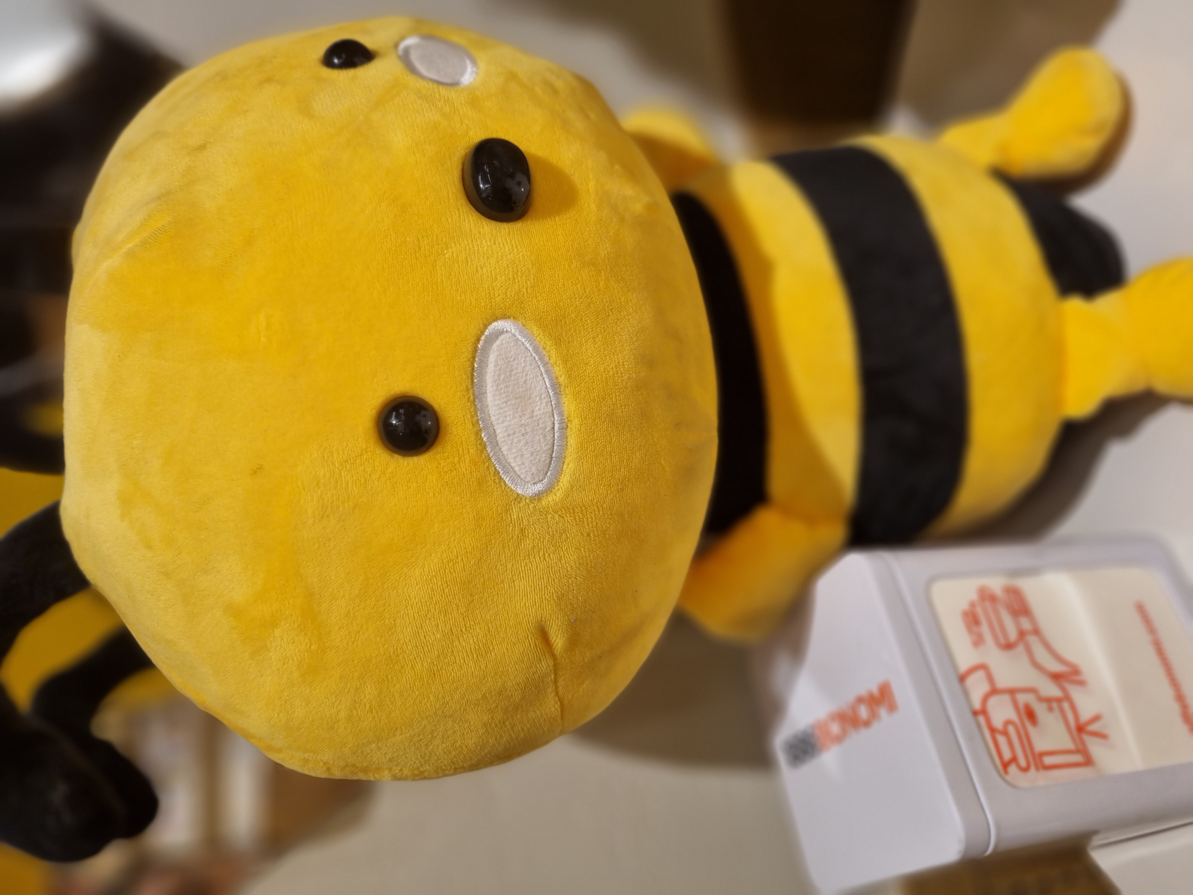 블로그 이미지