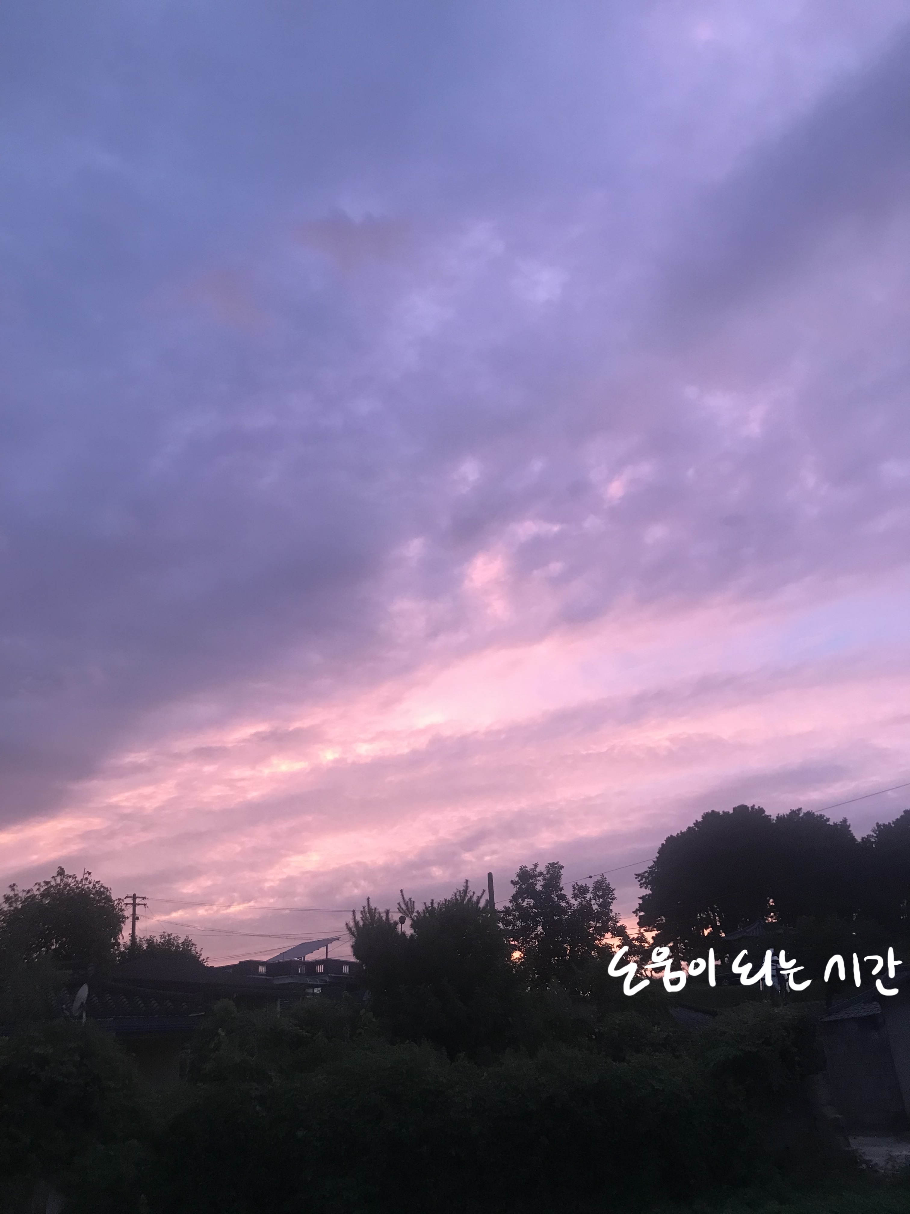 블로그 이미지