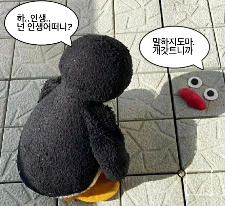 프로필사진
