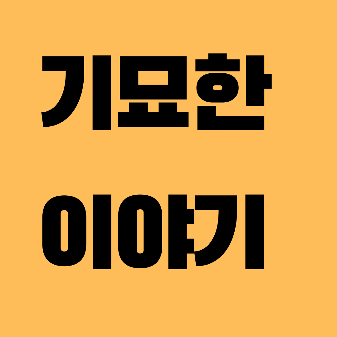프로필사진