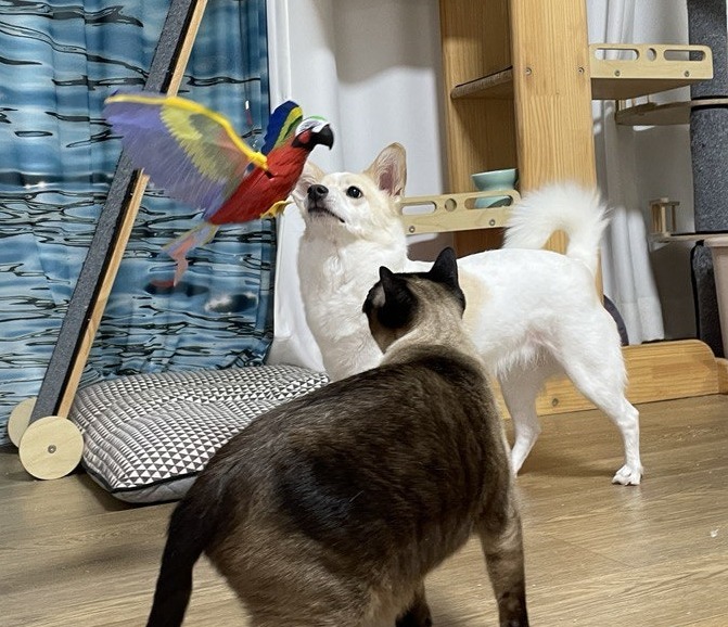블로그 이미지