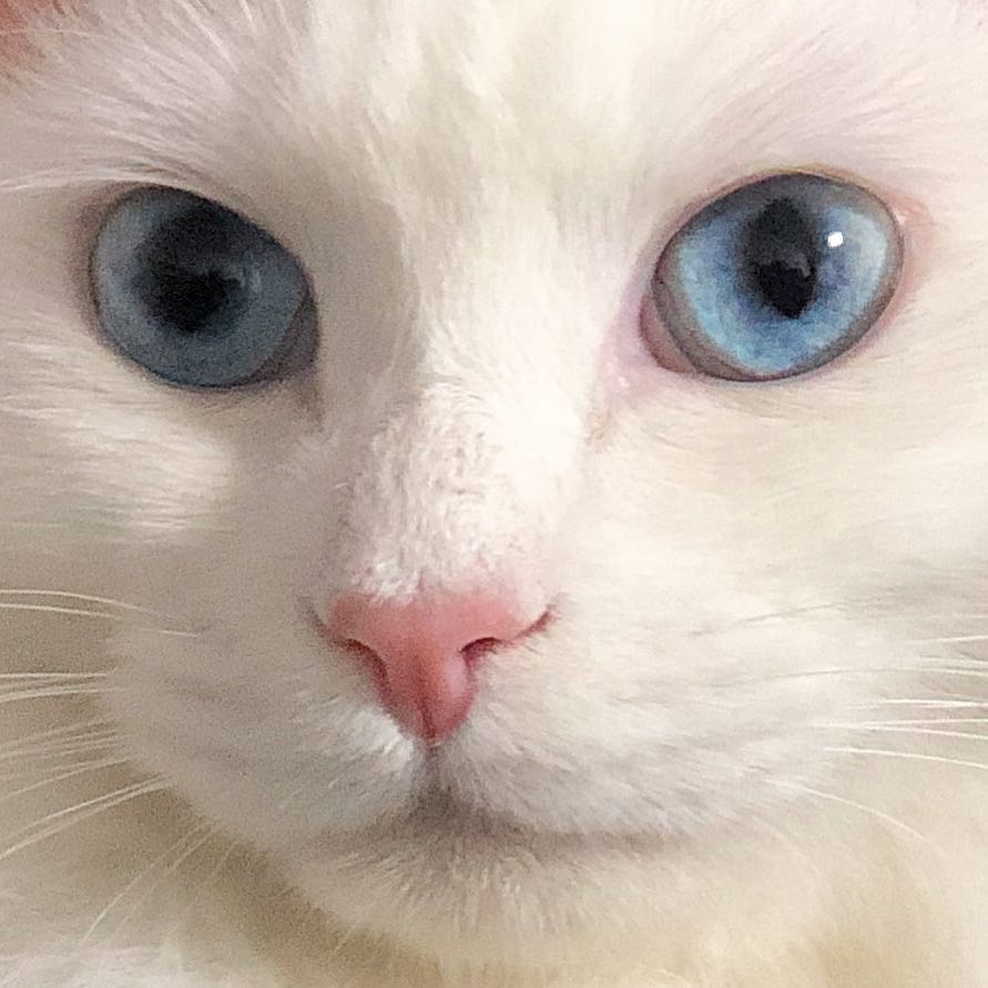 프로필사진