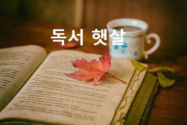 블로그 이미지