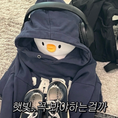 프로필사진