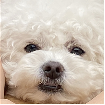mjwoon