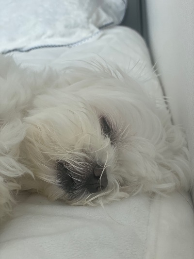꾸준한승준씨