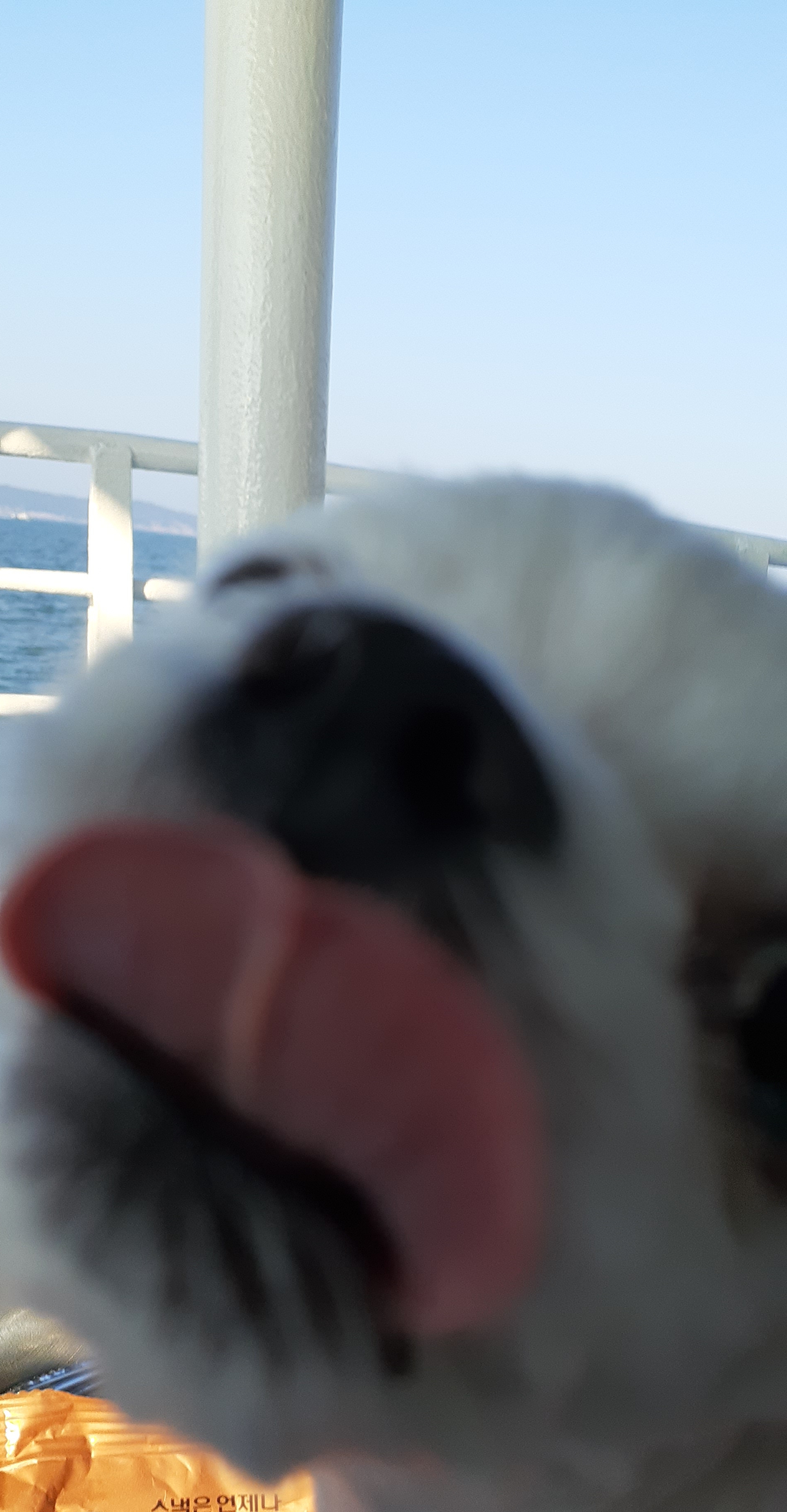 프로필사진