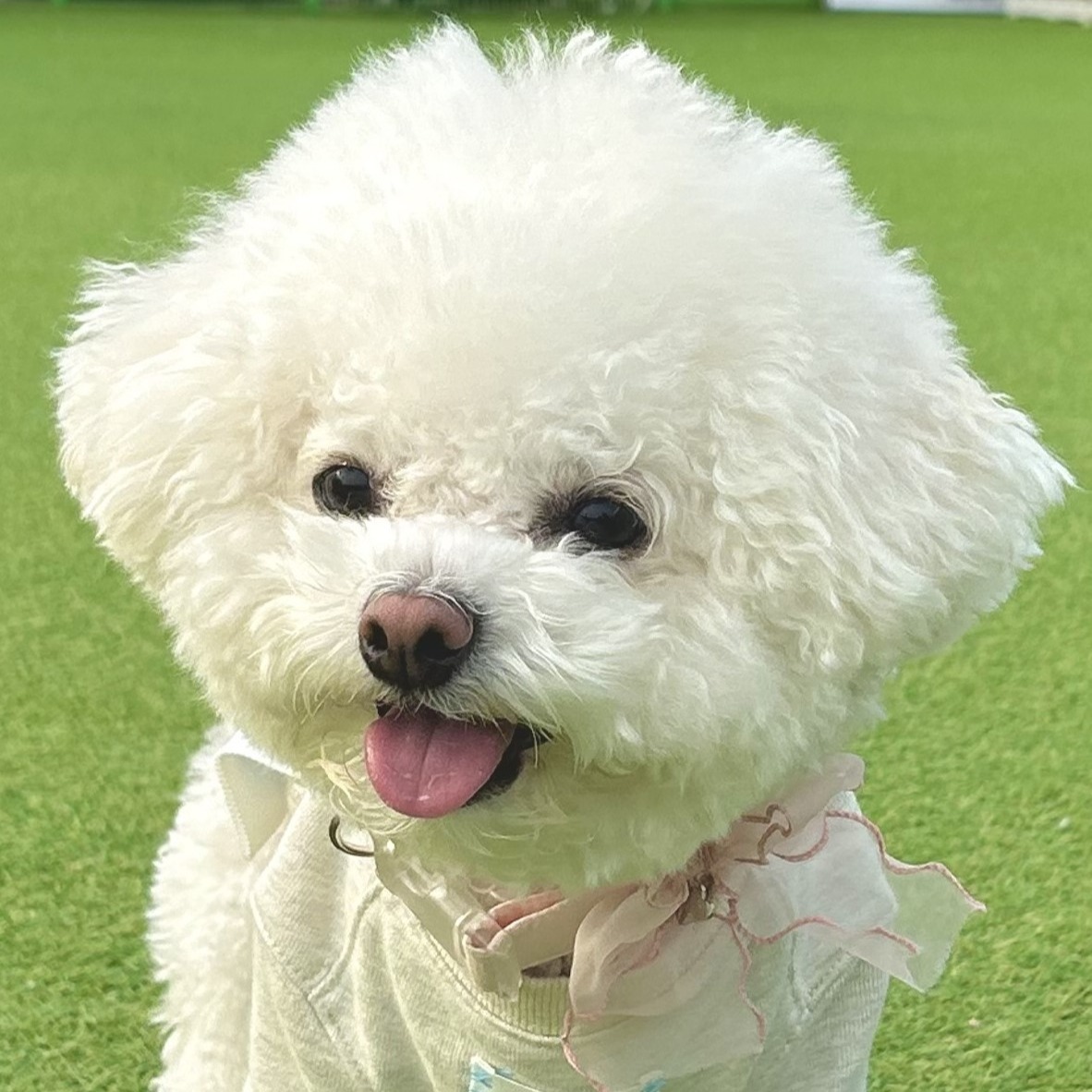 프로필사진