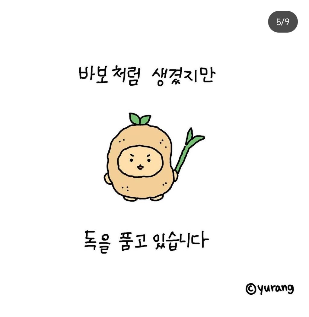 프로필사진