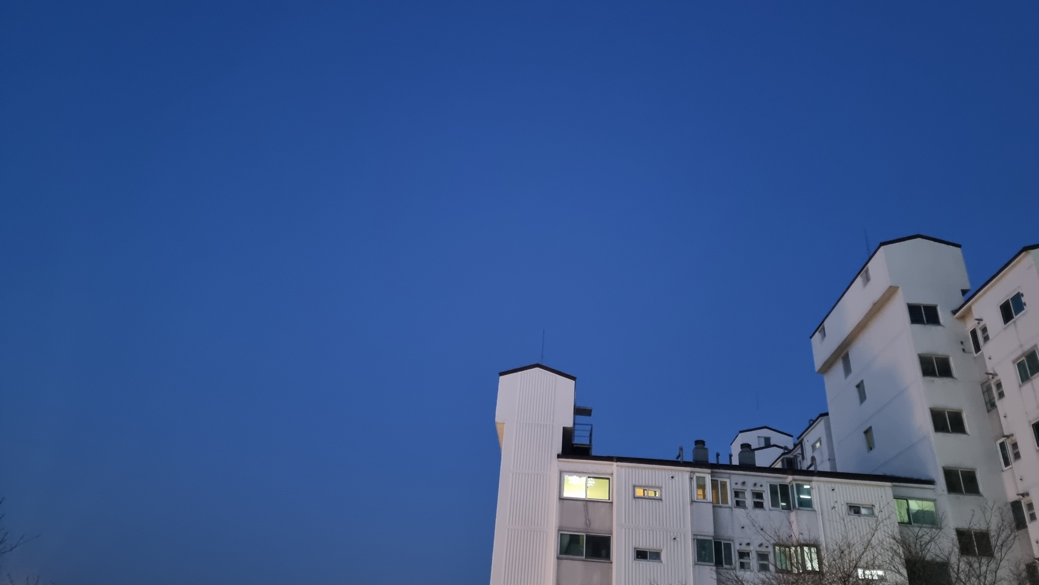 프로필사진