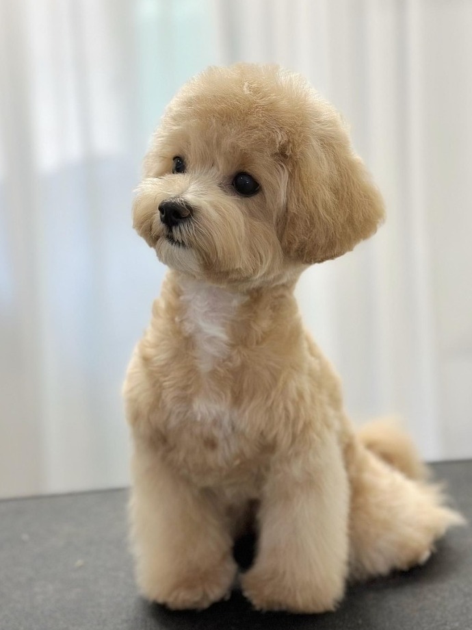 프로필사진