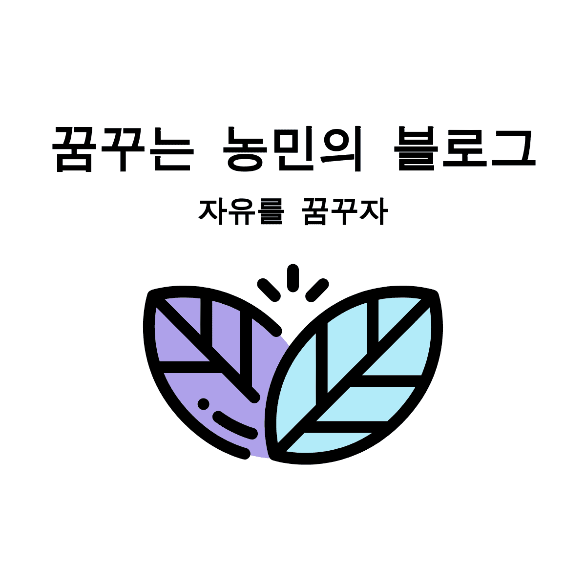 블로그 이미지