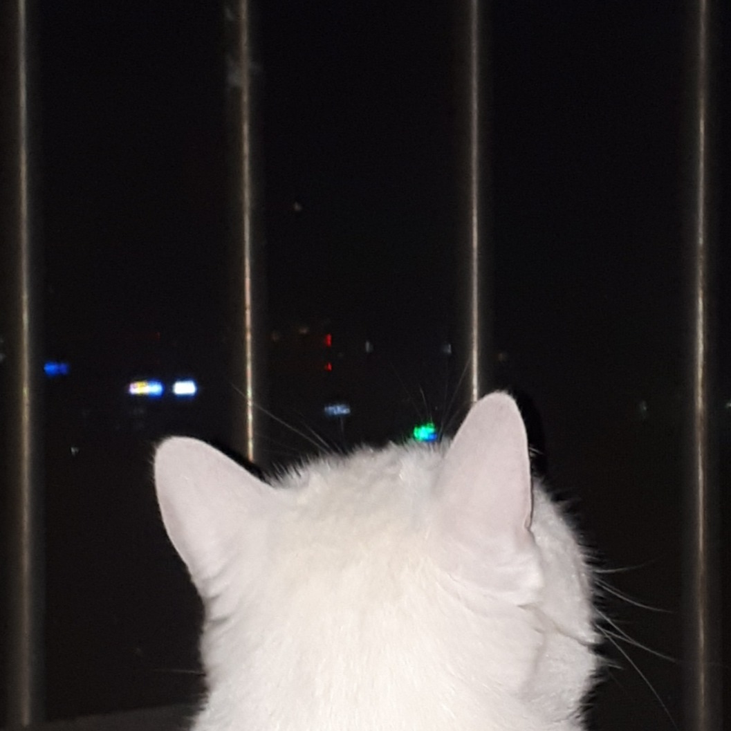 프로필사진