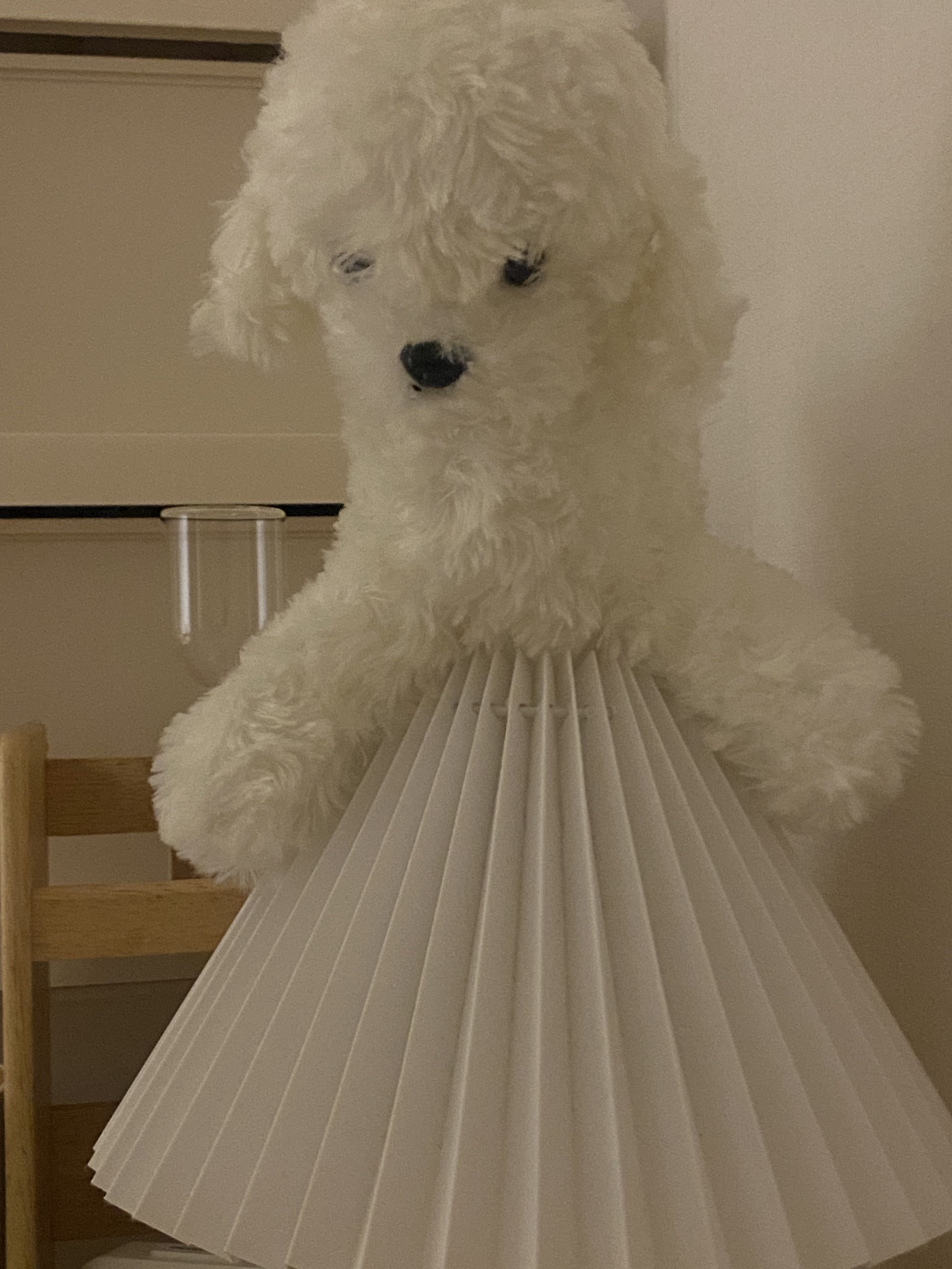 프로필사진