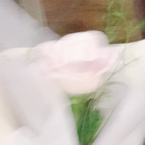 프로필사진