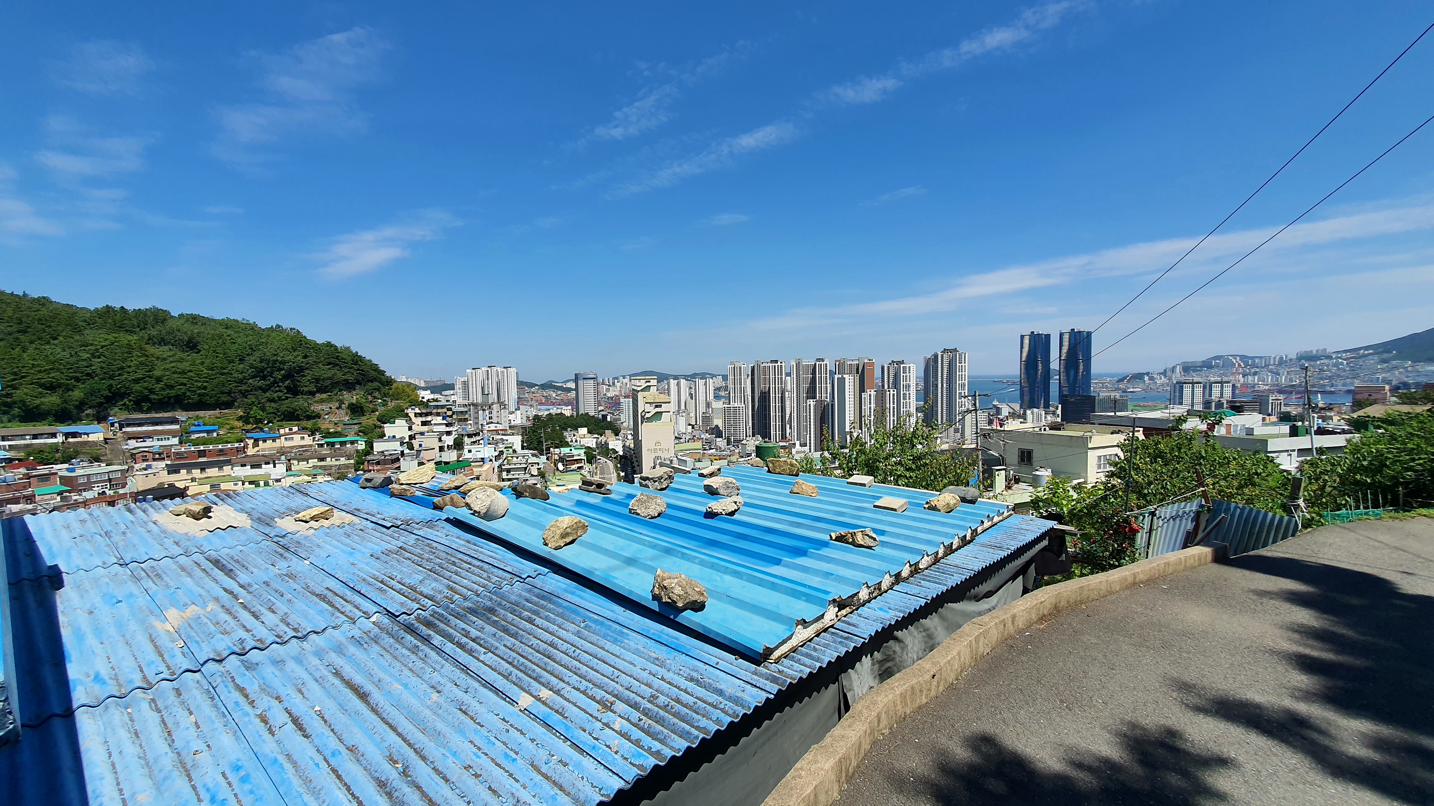 프로필사진