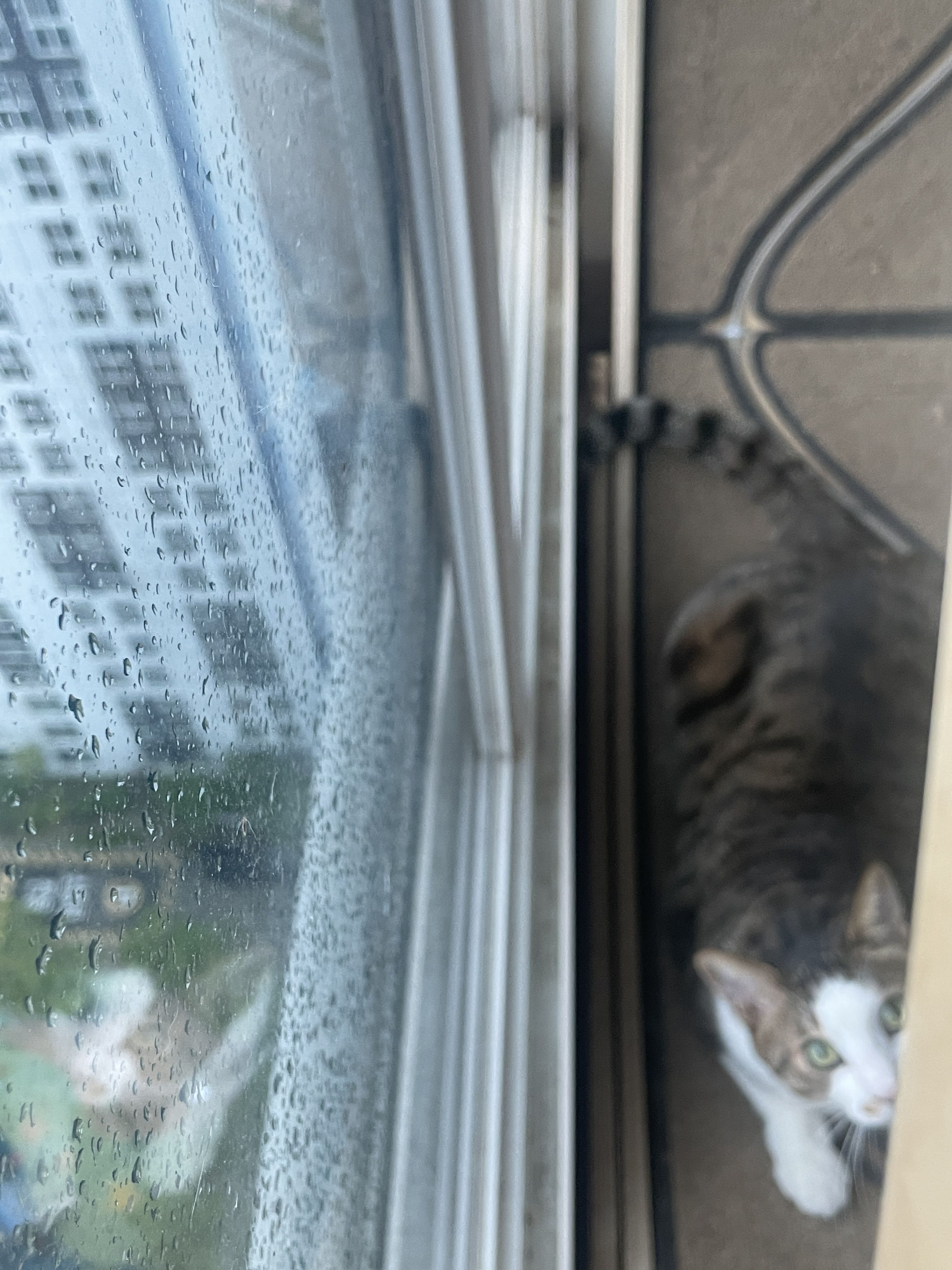 프로필사진