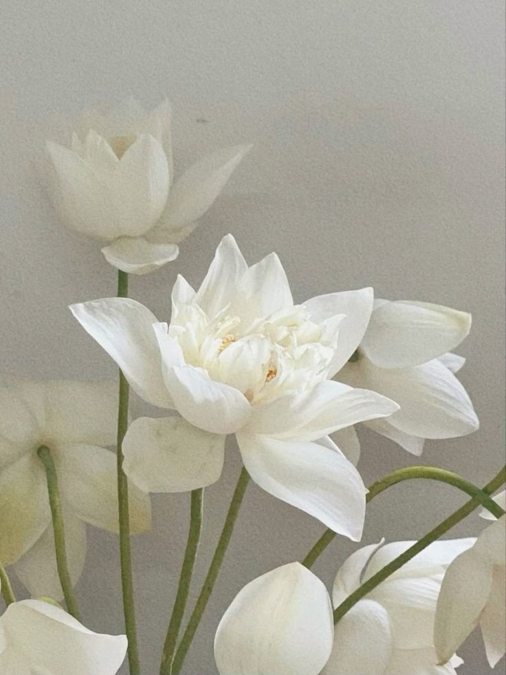 프로필사진