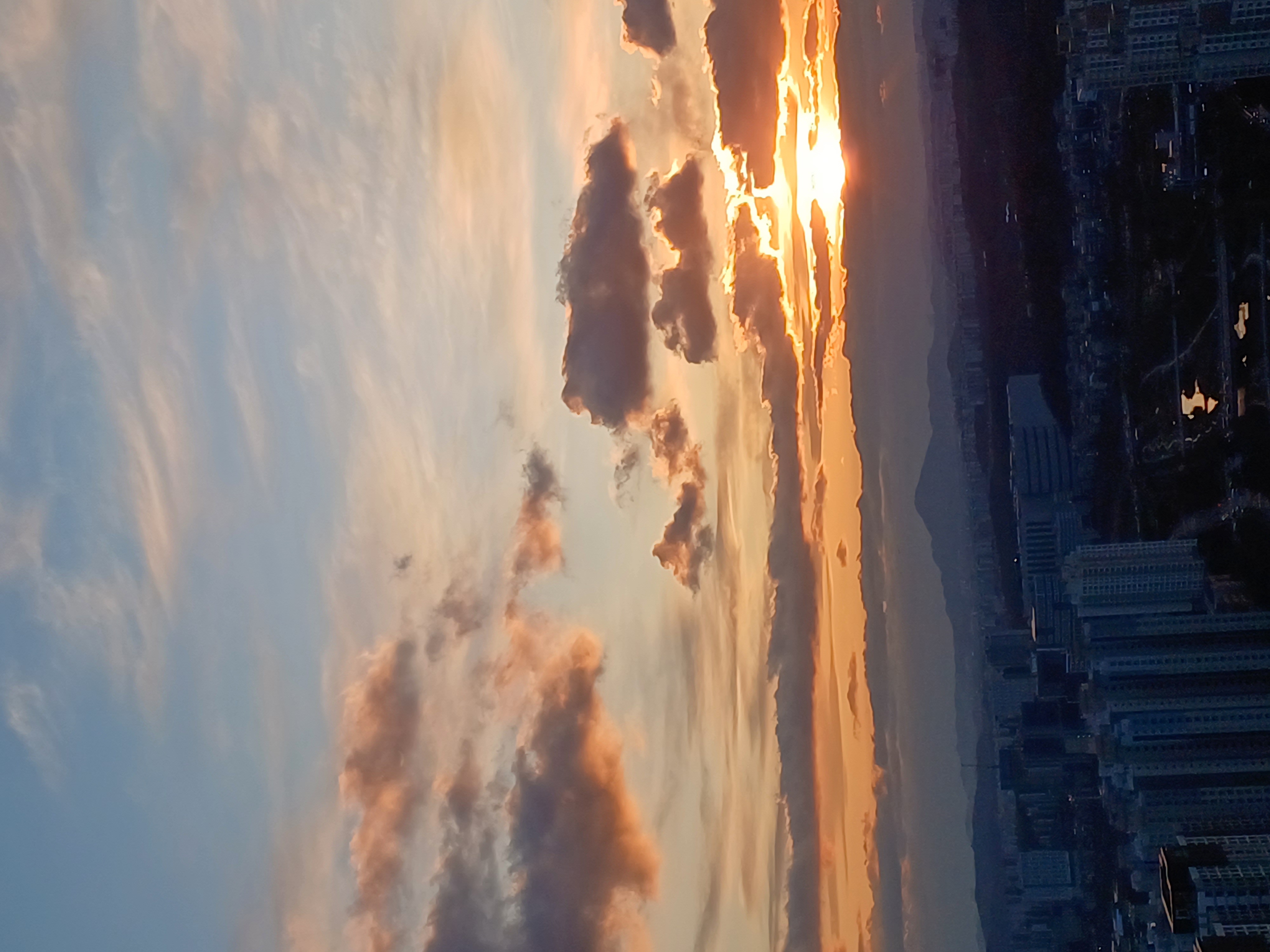 프로필사진