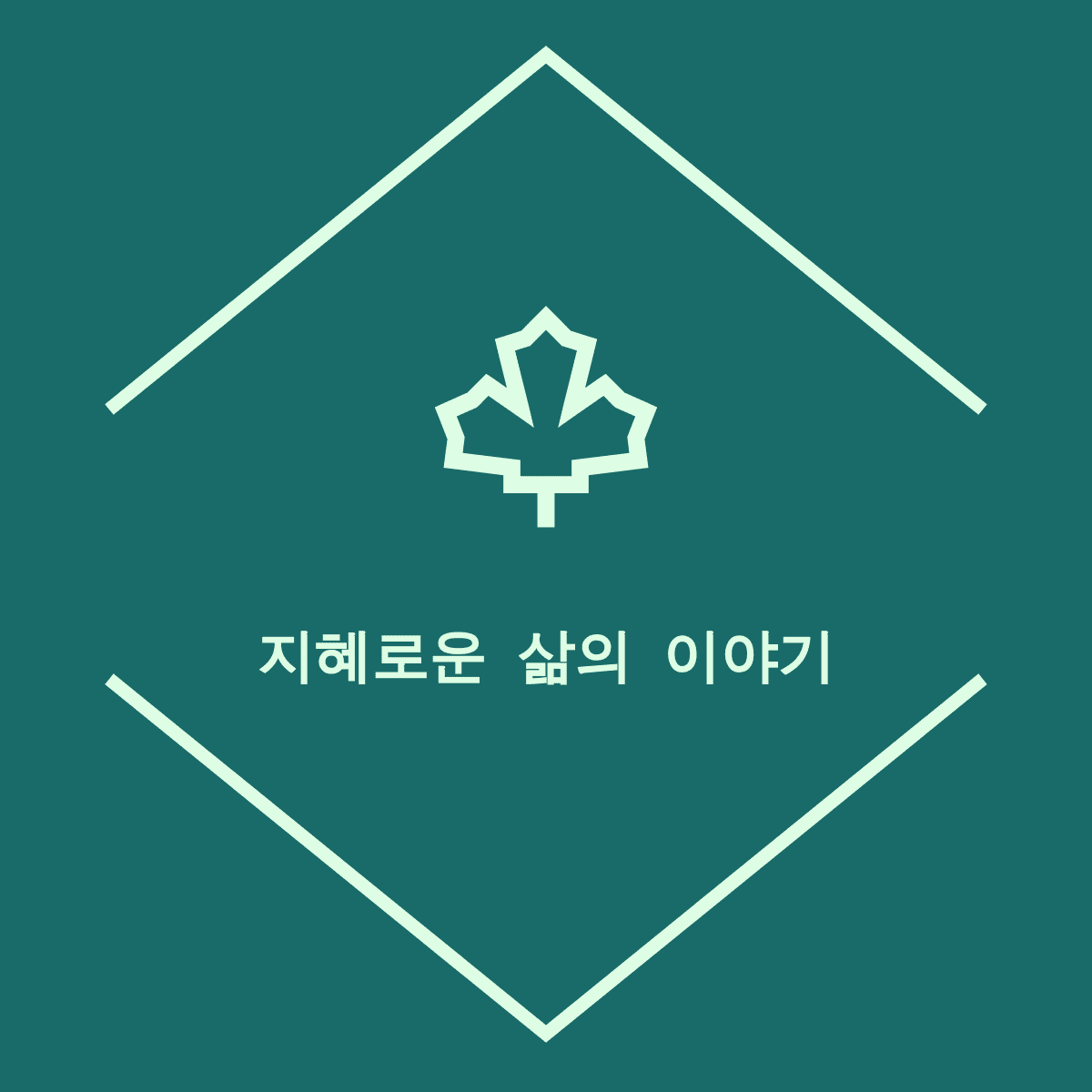 프로필사진