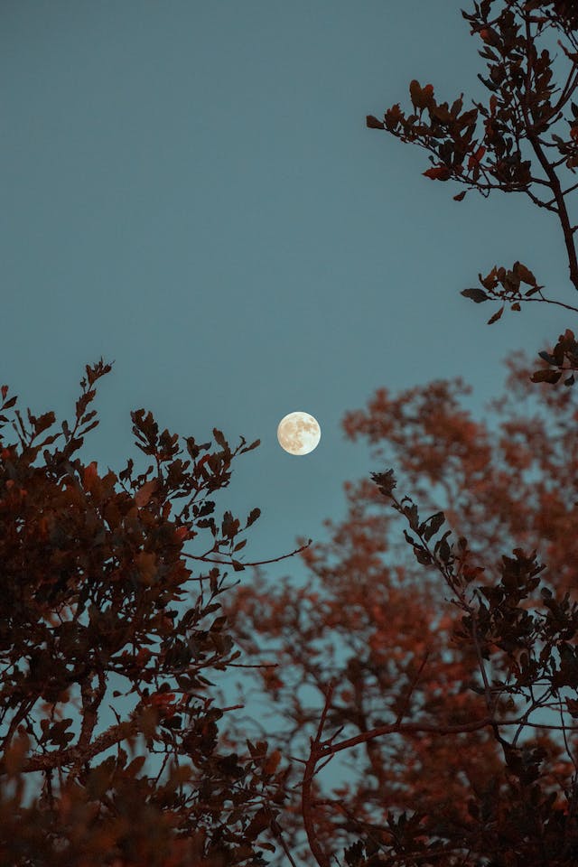 프로필사진