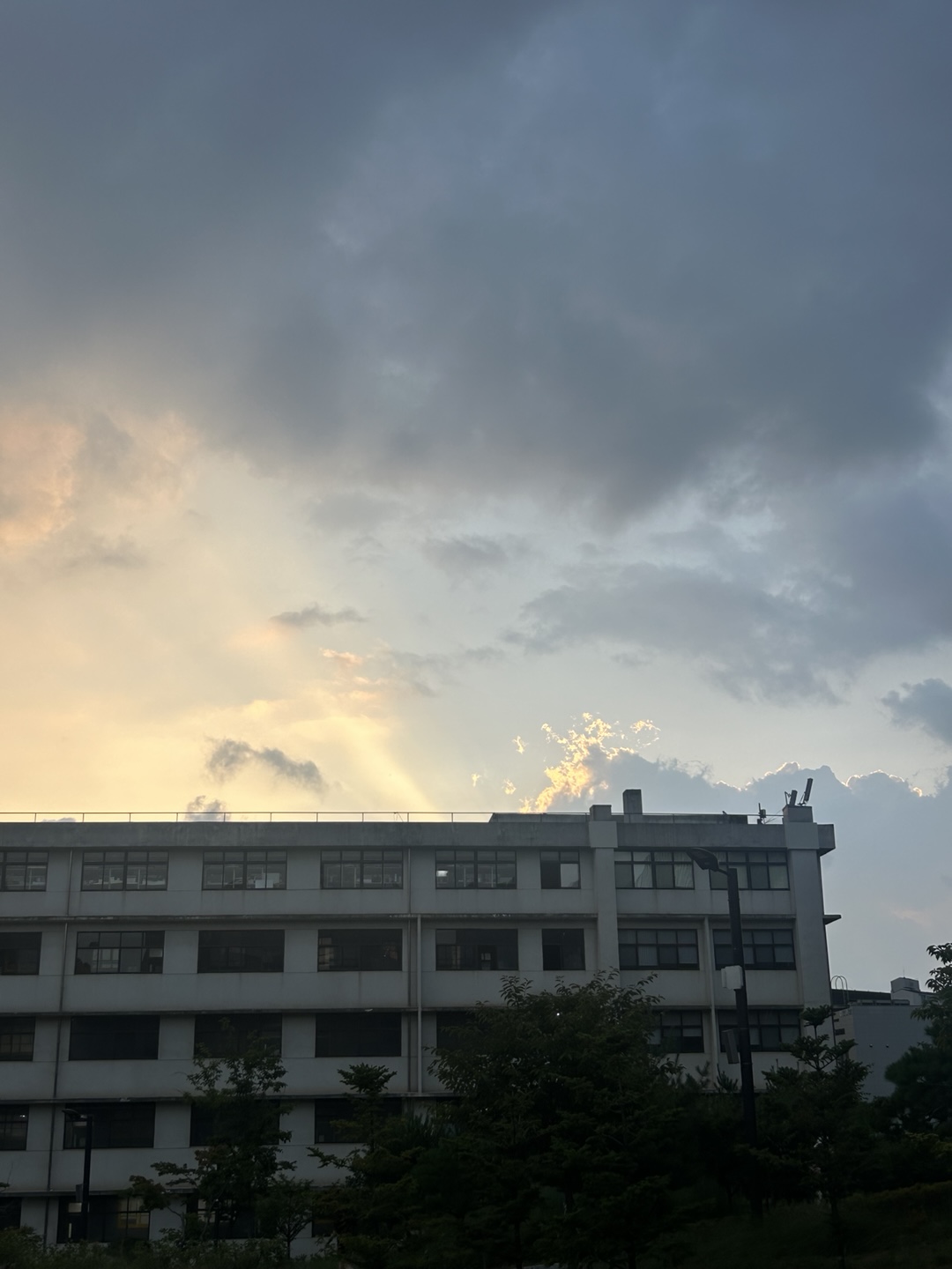 프로필사진