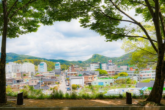프로필사진