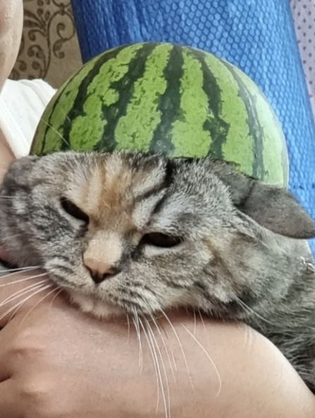 프로필사진