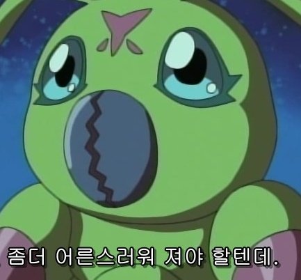 프로필사진