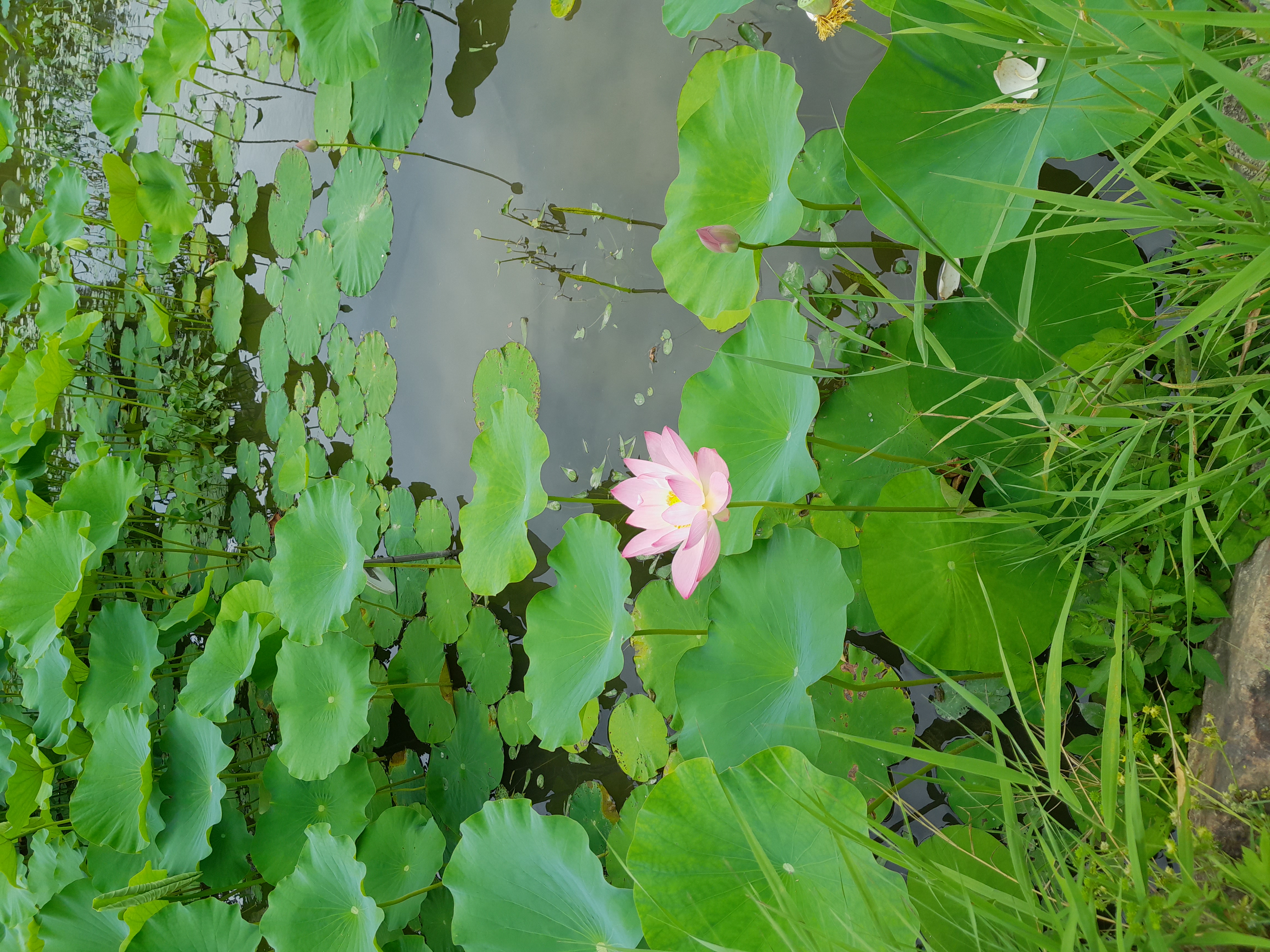 프로필사진