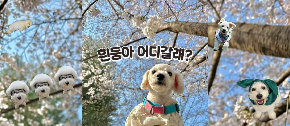 블로그 이미지